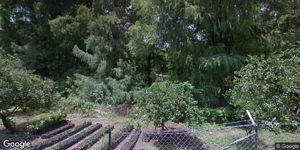 COMISIÓN NACIONAL PARA EL DESARROLLO DE LOS PUEBLOS INDÍGENAS